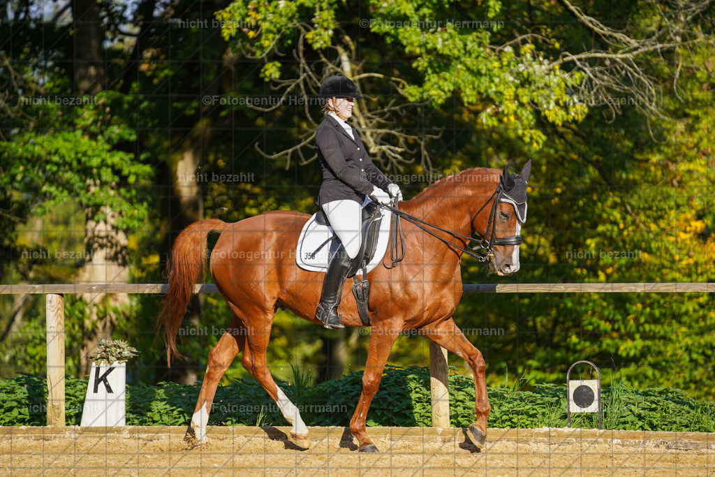 20221007-FAH00218 | Diessen am Ammersee, 2022, Dressur- und Springturnier, Reitsportbilder, Turnierfotografen Bayern, Pferdefotografen, Fotoagentur Herrmann, Turnierbilder