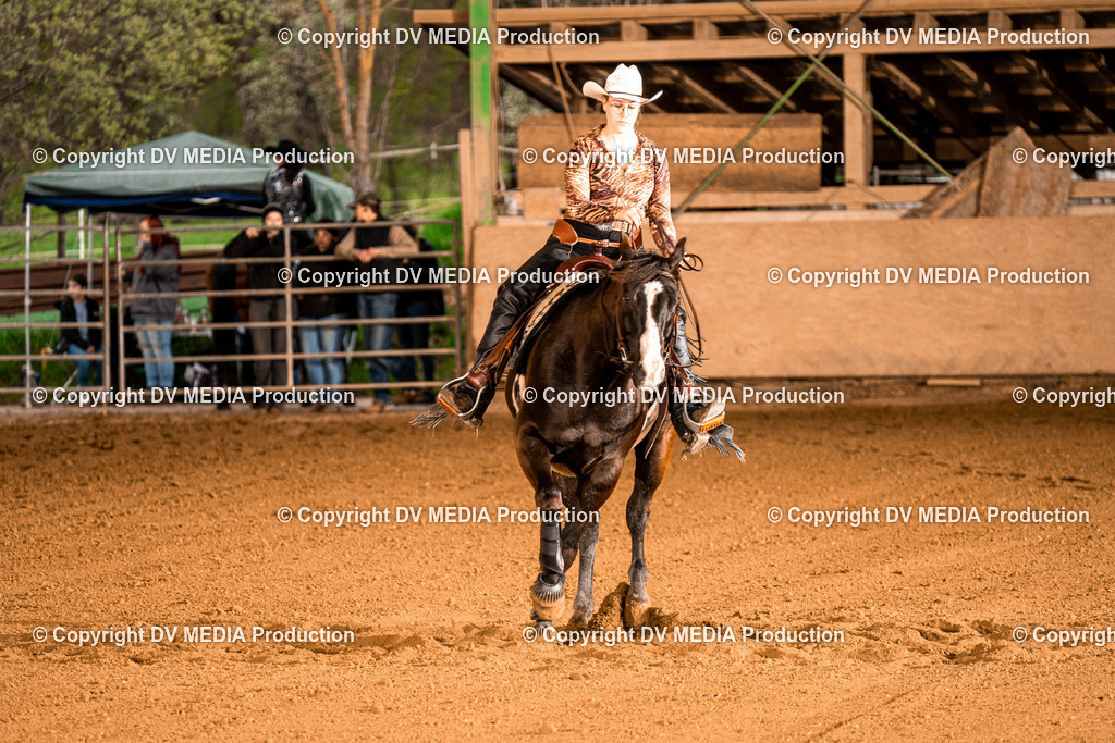 BAL01067 | dv-media-shop - Realisiert mit Pictrs.com