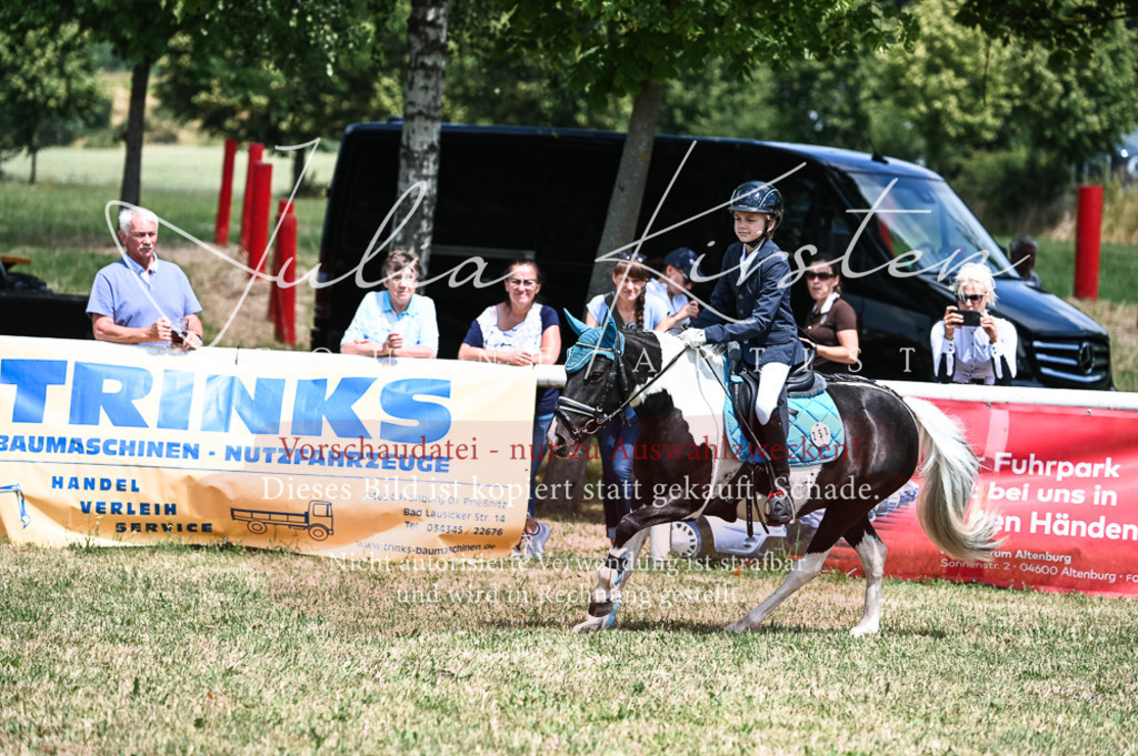 DSC_9738 | Pferde- und Turnierfotografie in Westsachsen. Pferdeportraits, Auftragszeichnungen und intuitive Kunst.