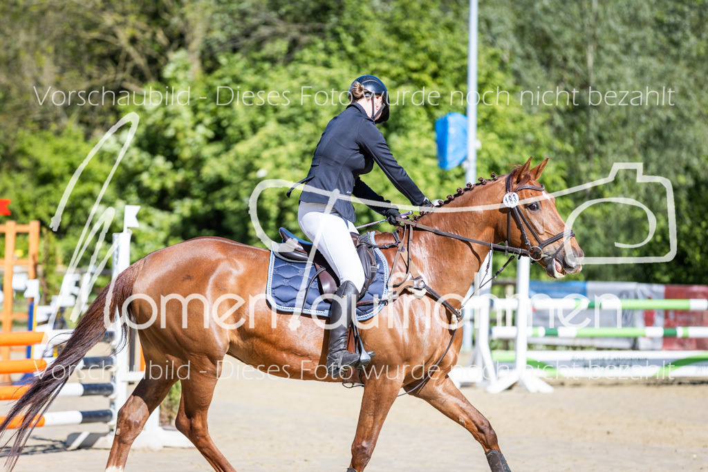 Donop24-A2Spr-009 | MomenTaufnahmen Pferdesportfotos