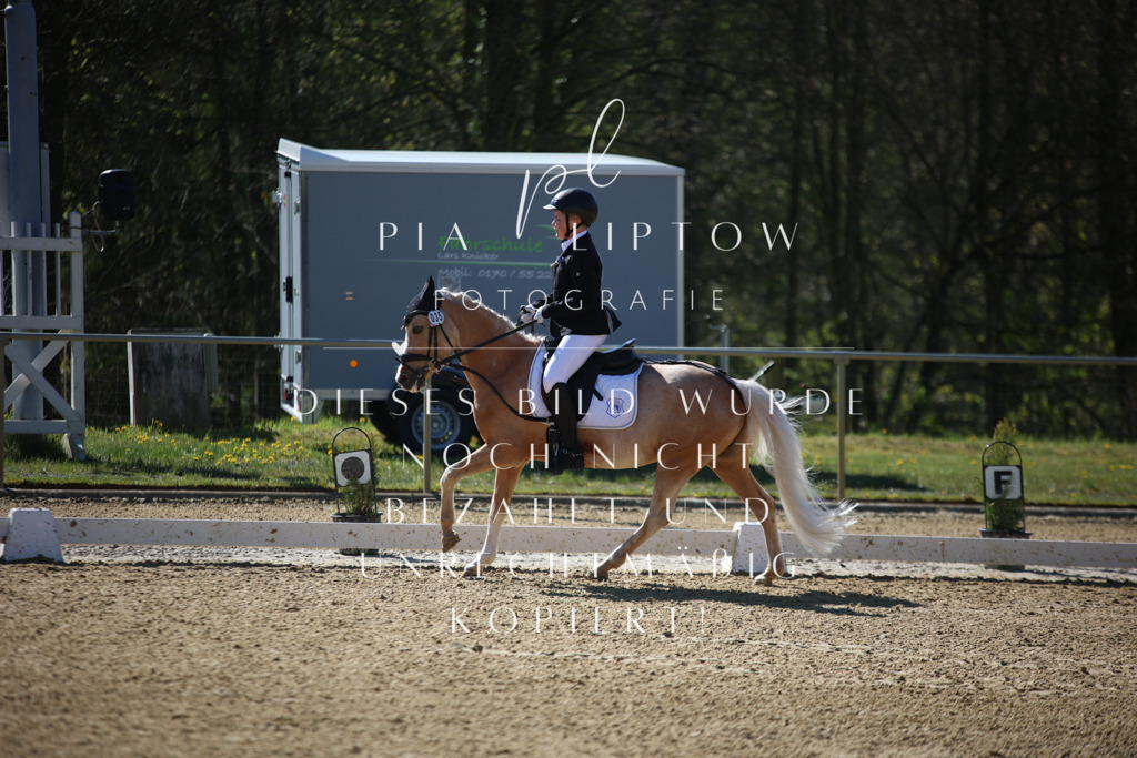 IMGT9939 | pl-fotografie