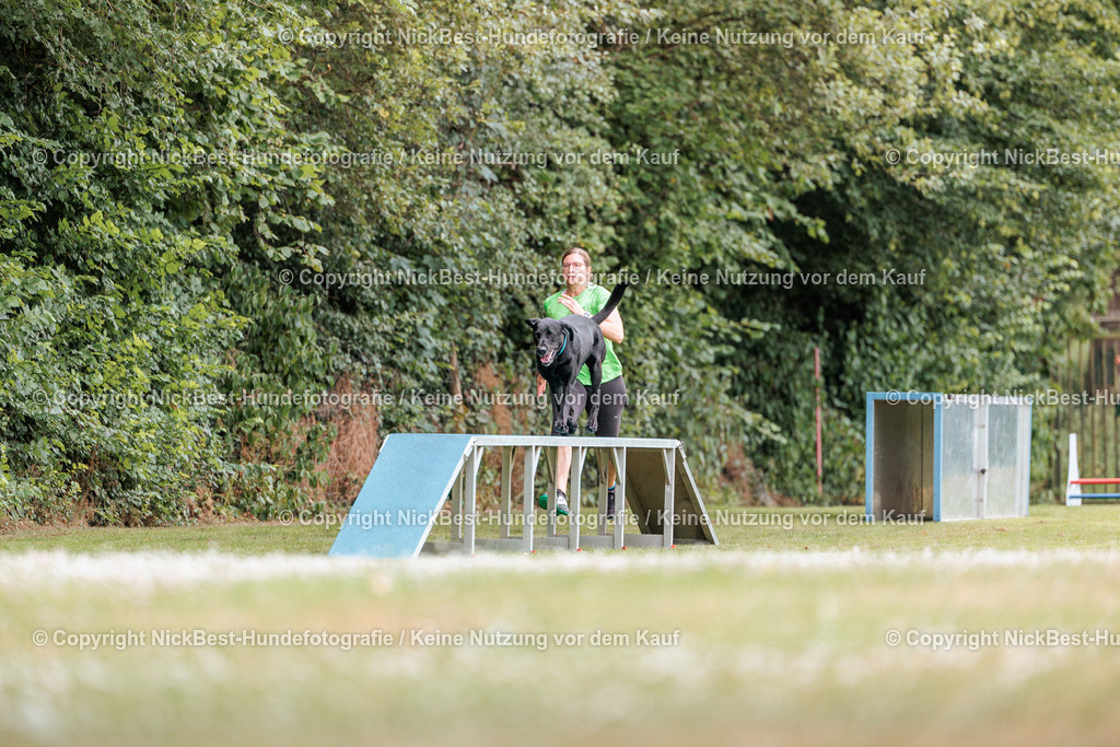 THS-Quakenbrück-2026-Nickbest-Hundefotografie-4052 | Dein Hund! Dein Moment! Deine Erinnerungen! Hundefotografie in Bremen Blumenthal. Ich fange die besonderen Momente deines Vierbeiners ein – ob Indoor mit Blitzanlage oder in der freien Natur. Sicher dir dein Moment und dein Termin für eure Erinnerungen.