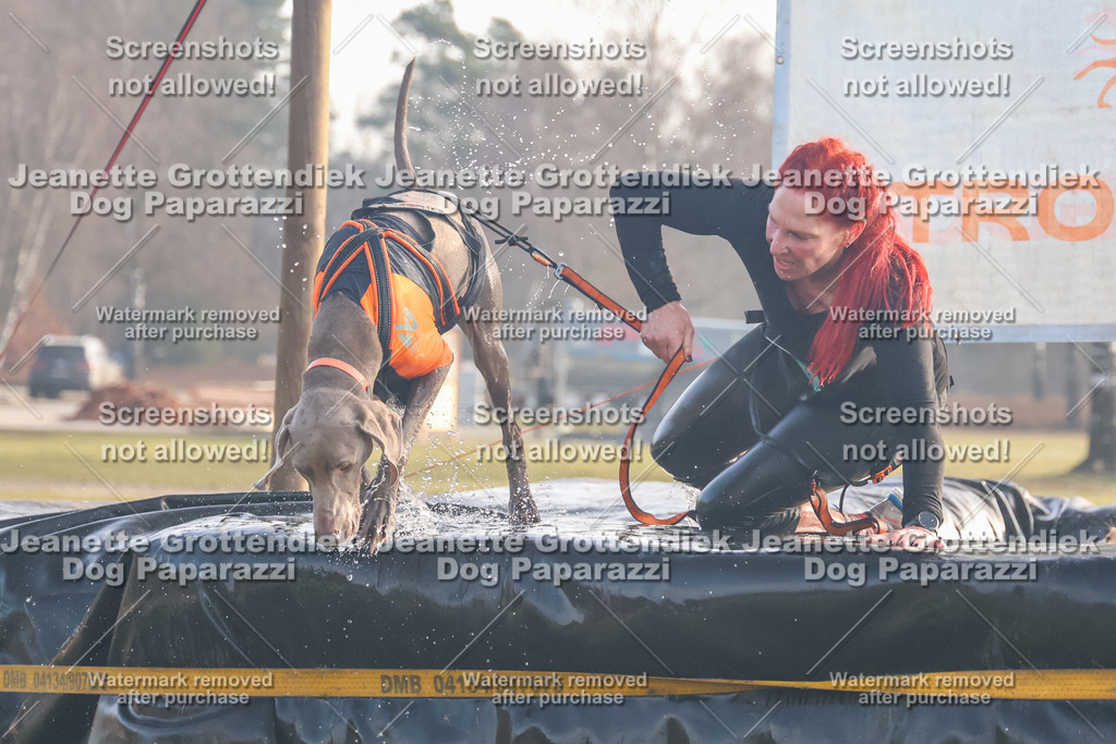 Dog Paparazzi - SD North Sa 830-900-191 | Dog Paparazzi Jeanette Grottendiek Fotografie & Videografie - Realisiert mit Pictrs.com