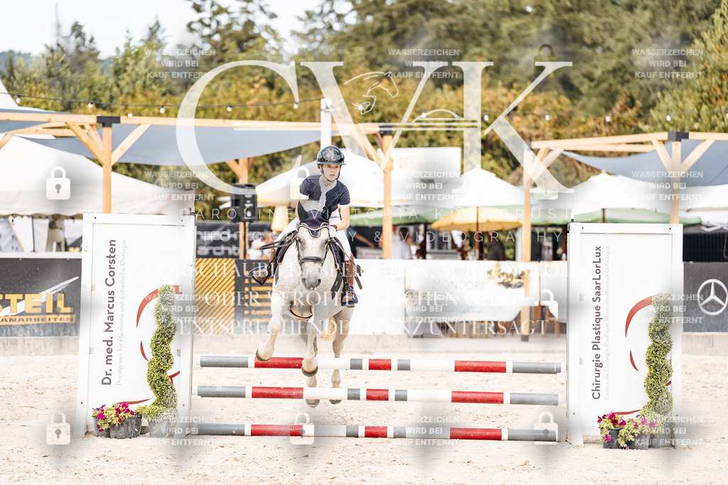 CK906812 | Turnierfotografie Pferdefotografie Trier Rheinland-Pfalz Pferdesport Reitsport Tierfotografie Sportfotografie Pferdevideo Pferdevideografie Equestrianvideography equestrianphotography  - Realisiert mit Pictrs.com