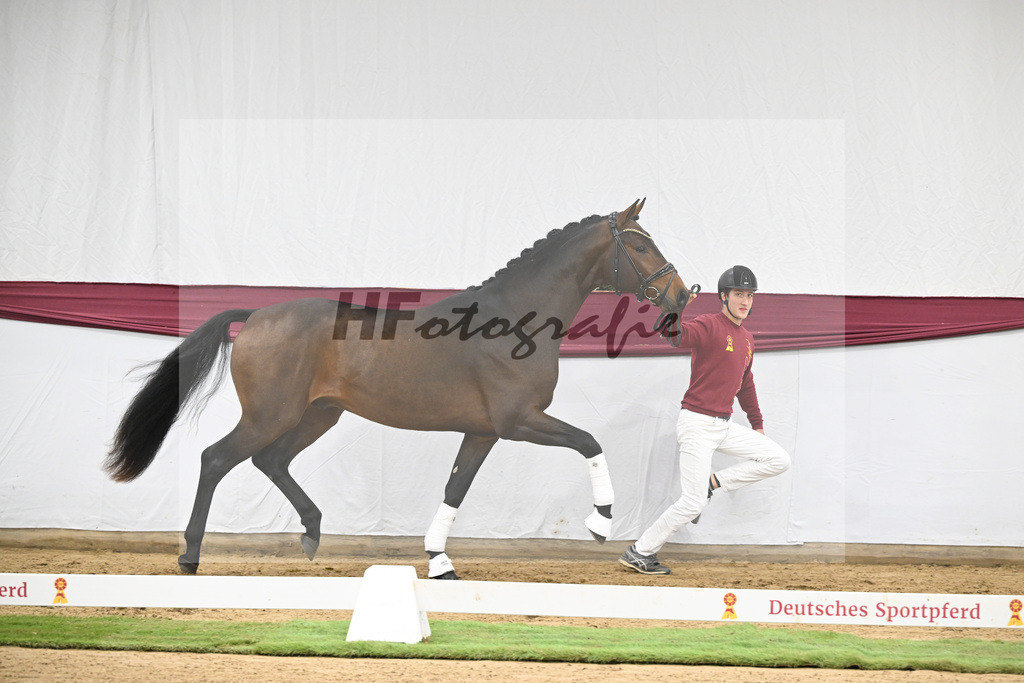 Kat-Nr. 123 Elastic x Belissimo M_Limbecker GnbH u Co. KG_47254049 | hf-fotografie - Realisiert mit Pictrs.com