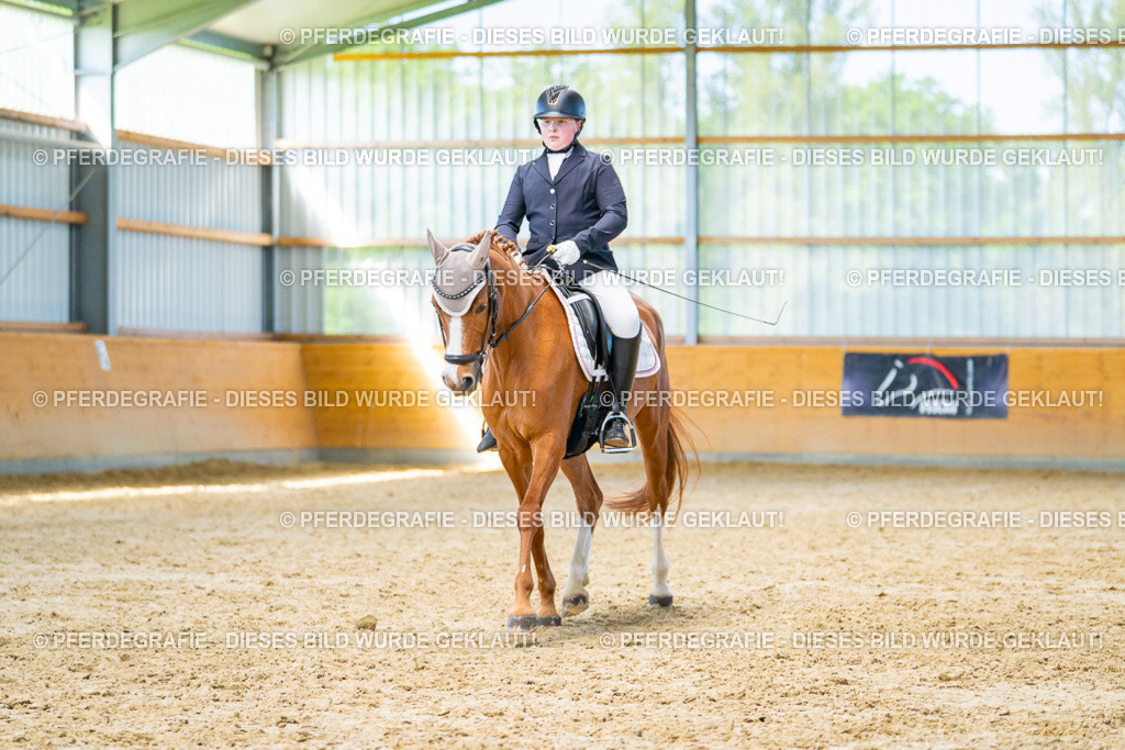 DSC07706 | Pferdegrafie