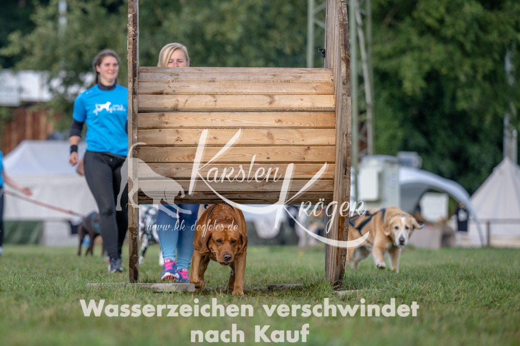 1013_ZZ91831 | kk-dogfotos