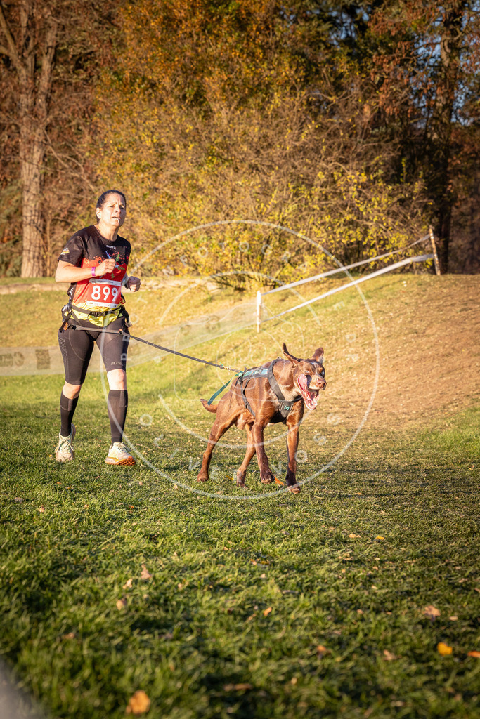 CaniXpix_0L8A1320 | Hundefotografie, Tierfotograf, Pfotenfotografie, Fotoshooting Hund, Hunde Portrait, Hundesport, Hundeportraits, Heideshooting, Hunde, Sportfotograf, Hundefotograf, Turnierhundsport, THS,  - Realisiert mit Pictrs.com