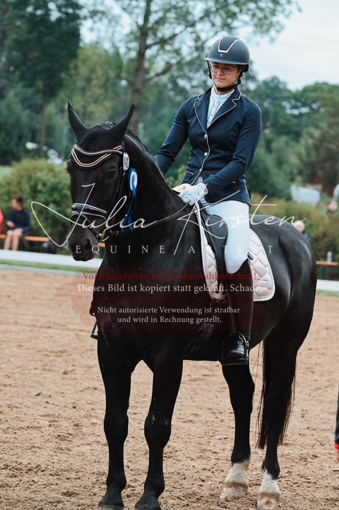 DSC_7268 | Pferde- und Turnierfotografie in Westsachsen. Pferdeportraits, Auftragszeichnungen und intuitive Kunst.