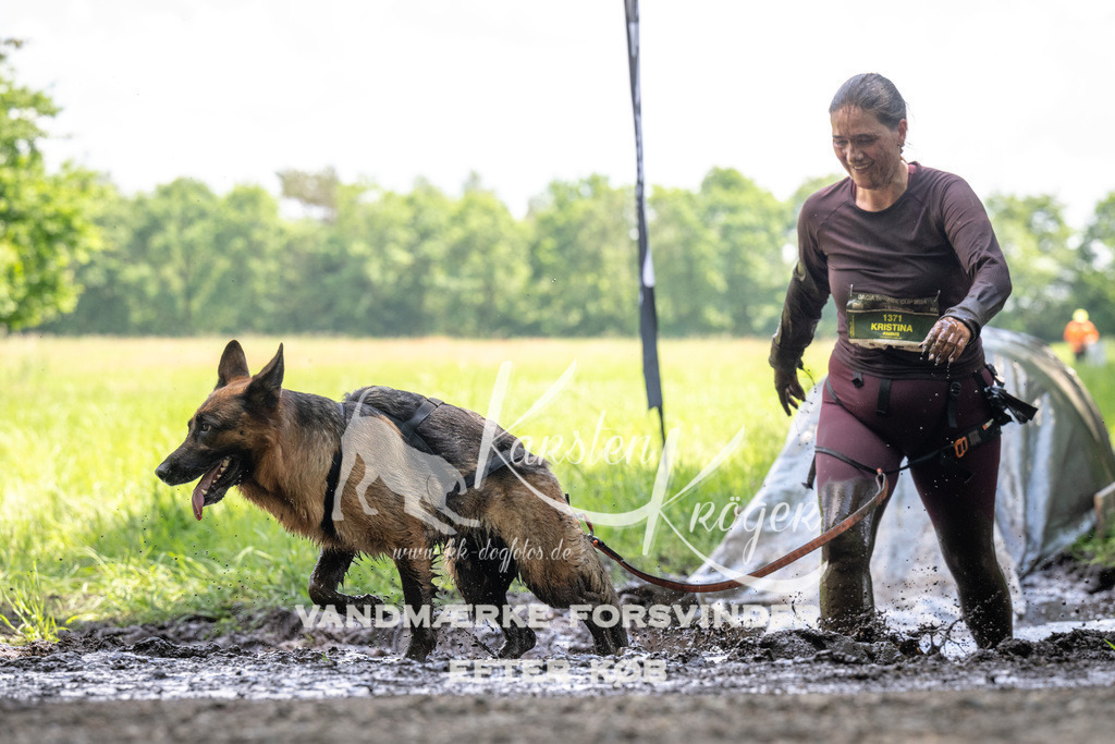 1207_ZZ91466 | kk-dogfotos