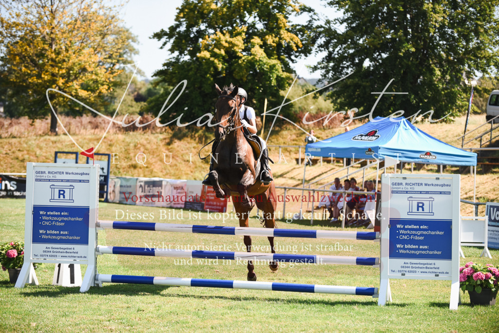 DSC_2767 | Pferde- und Turnierfotografie in Westsachsen. Pferdeportraits, Auftragszeichnungen und intuitive Kunst.
