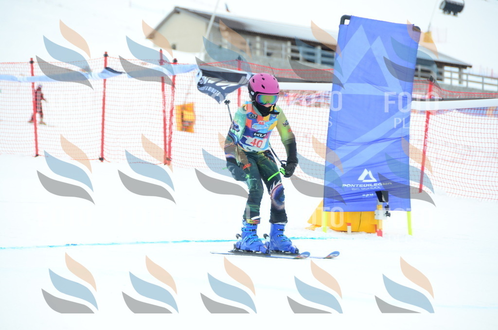 DSC_0899 | holidayphoto