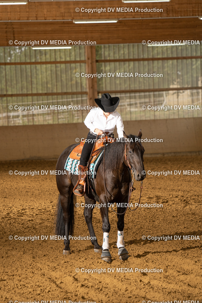 LAU01450 | dv-media-shop - Realisiert mit Pictrs.com