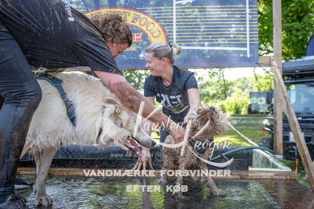 1427_ZZ94204 | kk-dogfotos