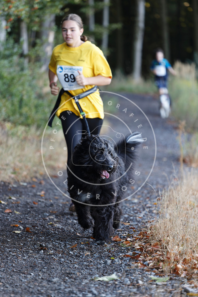 0L8A2158 | Hundefotografie, Tierfotograf, Pfotenfotografie, Fotoshooting Hund, Hunde Portrait, Hundesport, Hundeportraits, Heideshooting, Hunde, Sportfotograf, Hundefotograf, Turnierhundsport, THS,  - Realisiert mit Pictrs.com
