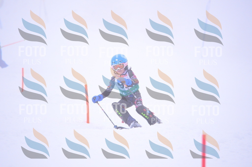 A4393 | holidayphoto