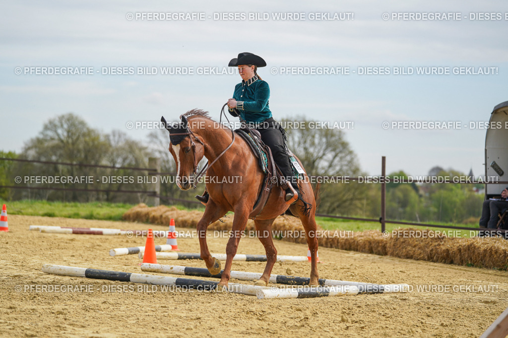 DSC03648 | Pferdegrafie