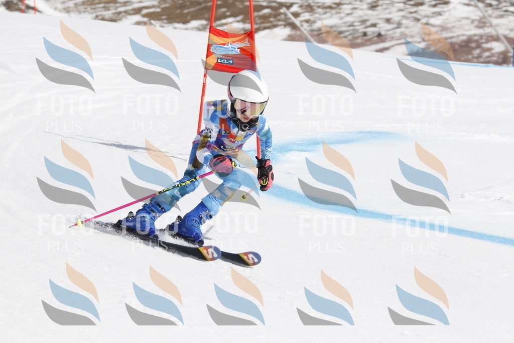 _U3G0567 | holidayphoto