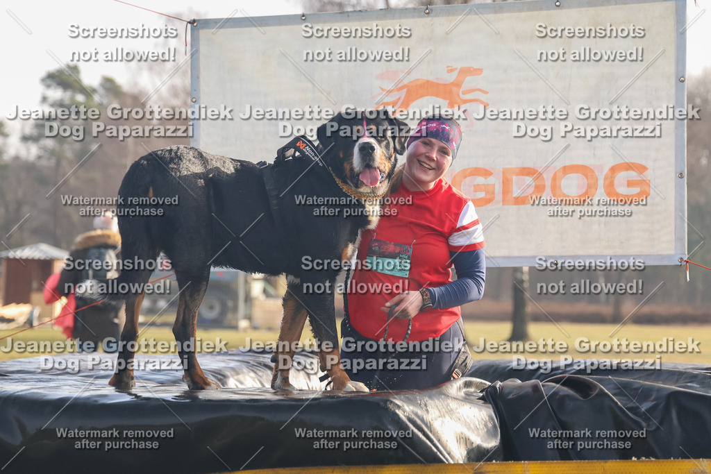 Dog Paparazzi - SD North 0326 900930-287 | Dog Paparazzi Jeanette Grottendiek Fotografie & Videografie - Realisiert mit Pictrs.com