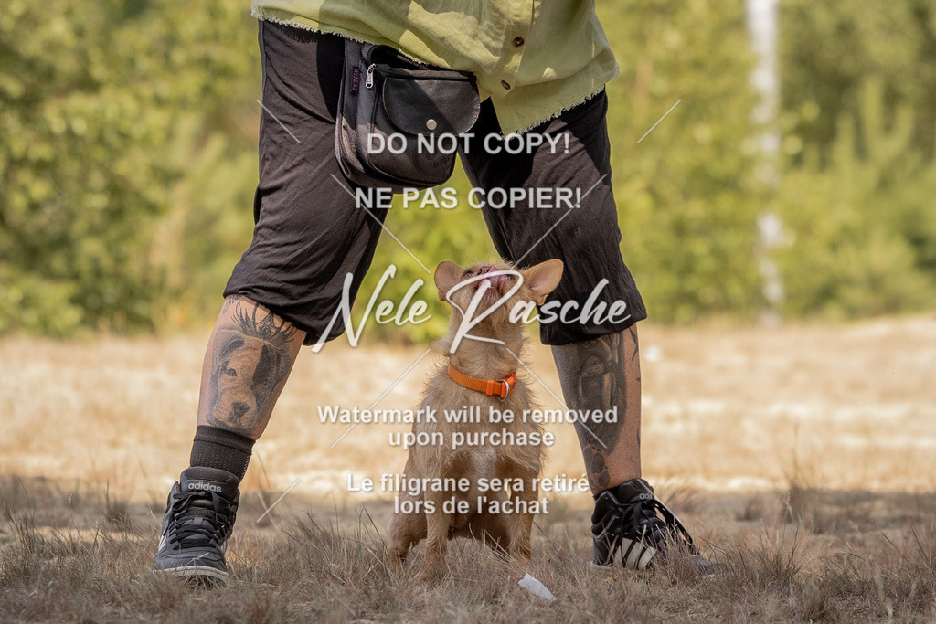 nelerasche_soDD2_52 | nelerasche