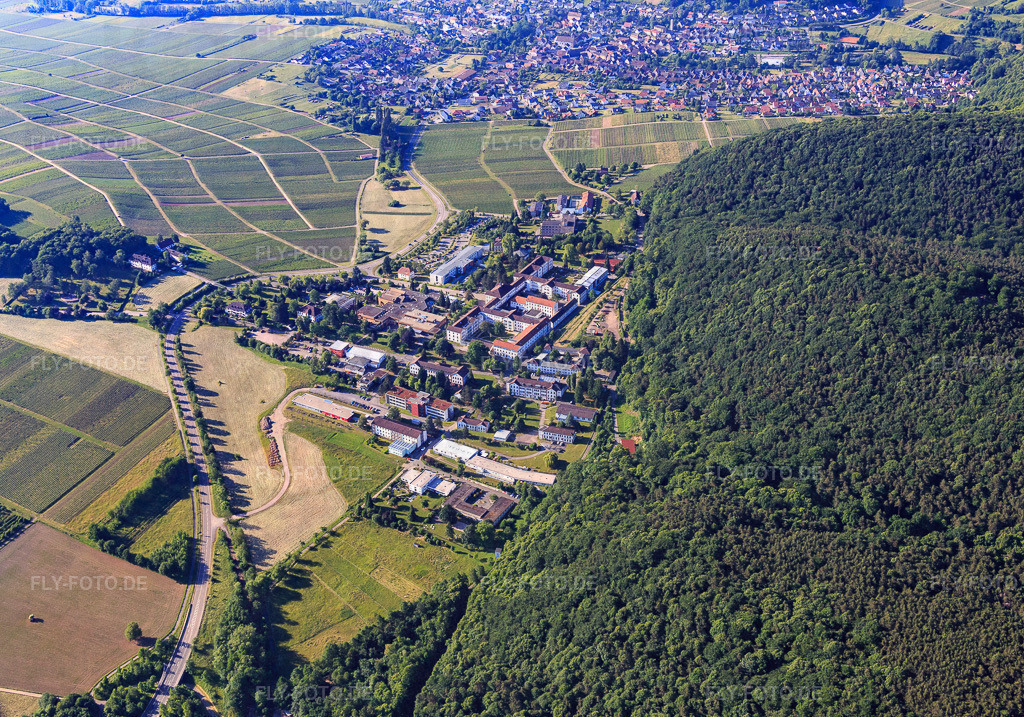 Pfalzklinikum für Psychiatrie und Neurologie aus Norden http://www.pfalzklinikum.de/ | Luftbild: Pfalzklinikum für Psychiatrie und Neurologie aus Norden http://www.pfalzklinikum.de/ in Klingenmünster im Bundesland Rheinland-Pfalz in Deutschland. Foto: IMG_080083.jpg vom 05.06.2015 durch Werner Riehm/FLY-FOTO.de - Realisiert mit Pictrs.com