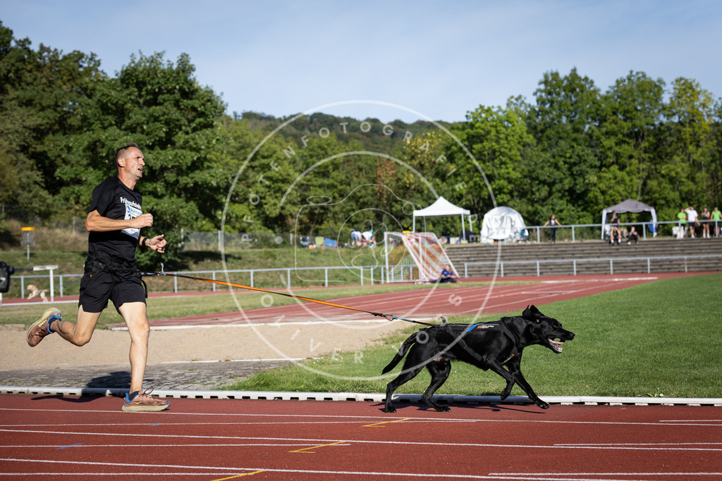 Pfotenfotografie_DV3A9834 | Hundefotografie, Tierfotograf, Pfotenfotografie, Fotoshooting Hund, Hunde Portrait, Hundesport, Hundeportraits, Heideshooting, Hunde, Sportfotograf, Hundefotograf, Turnierhundsport, THS,  - Realisiert mit Pictrs.com