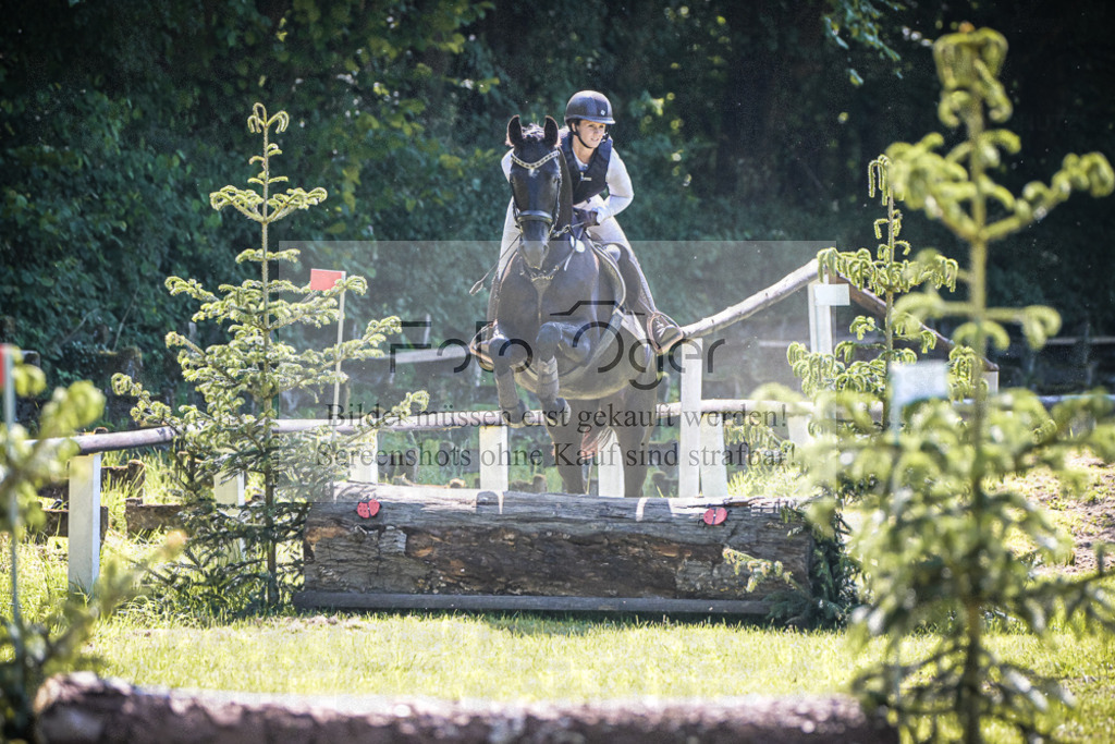 DOS_6142 | Entdecke hochwertige Reitturnierfotos von Foto Oger. Professionell, emotional und authentisch – jetzt Lieblingsmomente im Shop bestellen.Deutschlandweite Turnierfotografie. - Realisiert mit Pictrs.com