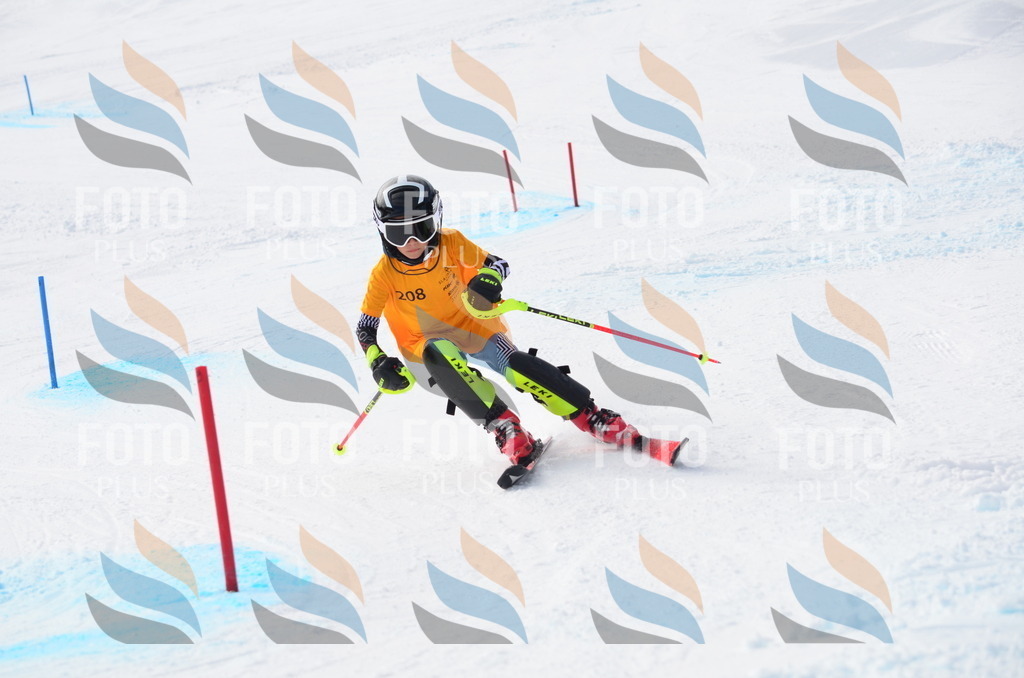 C8165 | holidayphoto