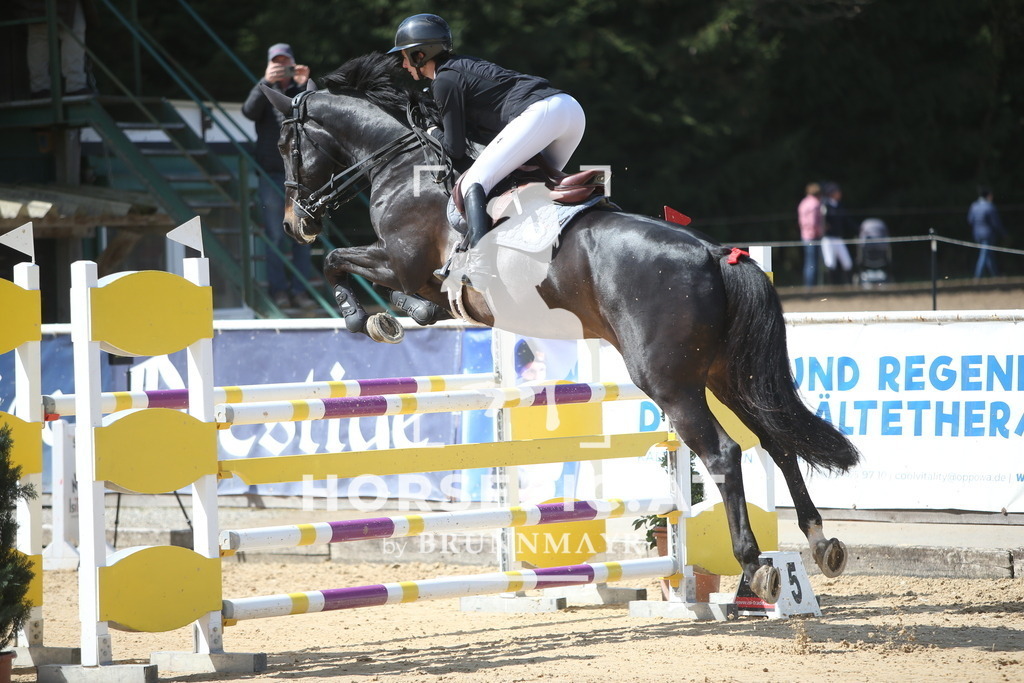 PP014098 | Willkommen bei Brunnmayr - Design & Fotografie – Ihrem Spezialisten für Reitturniere und Pferdeveranstaltungen in Oberösterreich, Salzburg und Bayern! Seit über 17 Jahren sind wir leidenschaftlich dabei.
