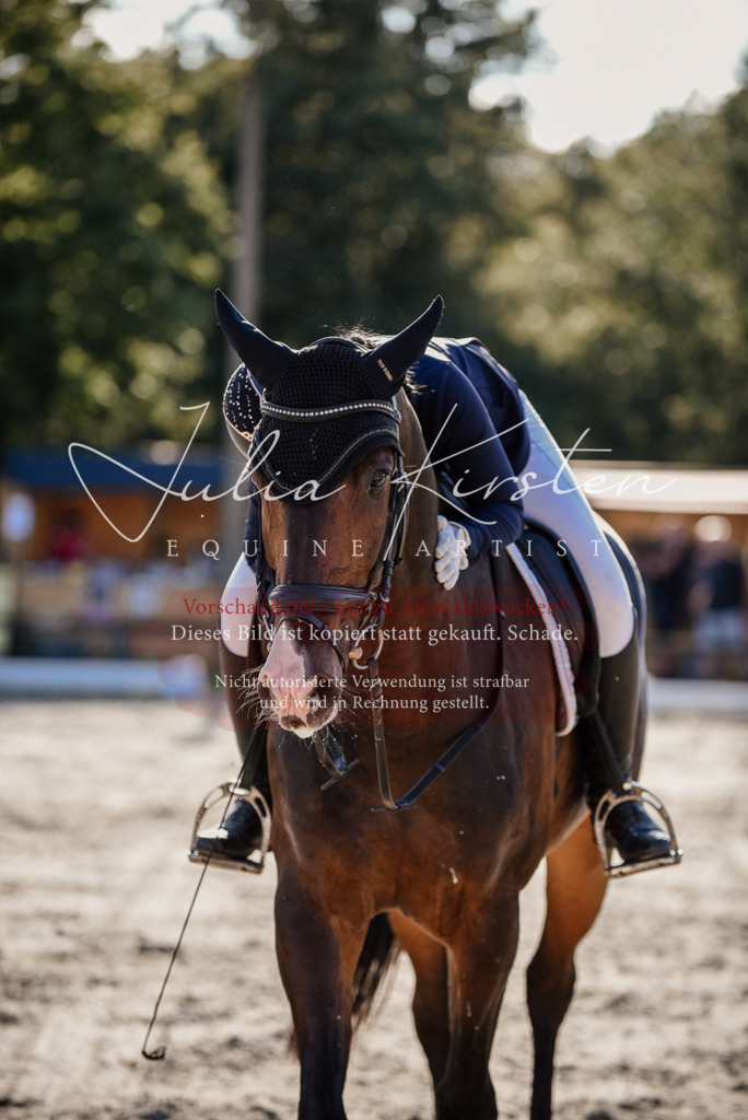 DSC_0662 | Pferde- und Turnierfotografie in Westsachsen. Pferdeportraits, Auftragszeichnungen und intuitive Kunst.