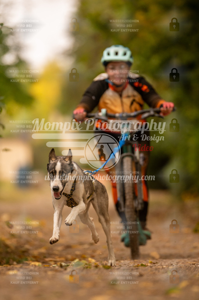 CDLBDB_14_10_2023_Samedi-169 | PayLife