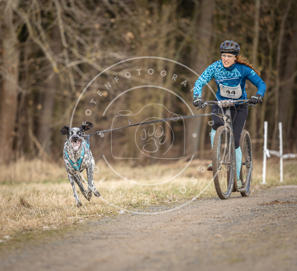 DV3A4647 | Hundefotografie, Tierfotograf, Pfotenfotografie, Fotoshooting Hund, Hunde Portrait, Hundesport, Hundeportraits, Heideshooting, Hunde, Sportfotograf, Hundefotograf, Turnierhundsport, THS,  - Realisiert mit Pictrs.com