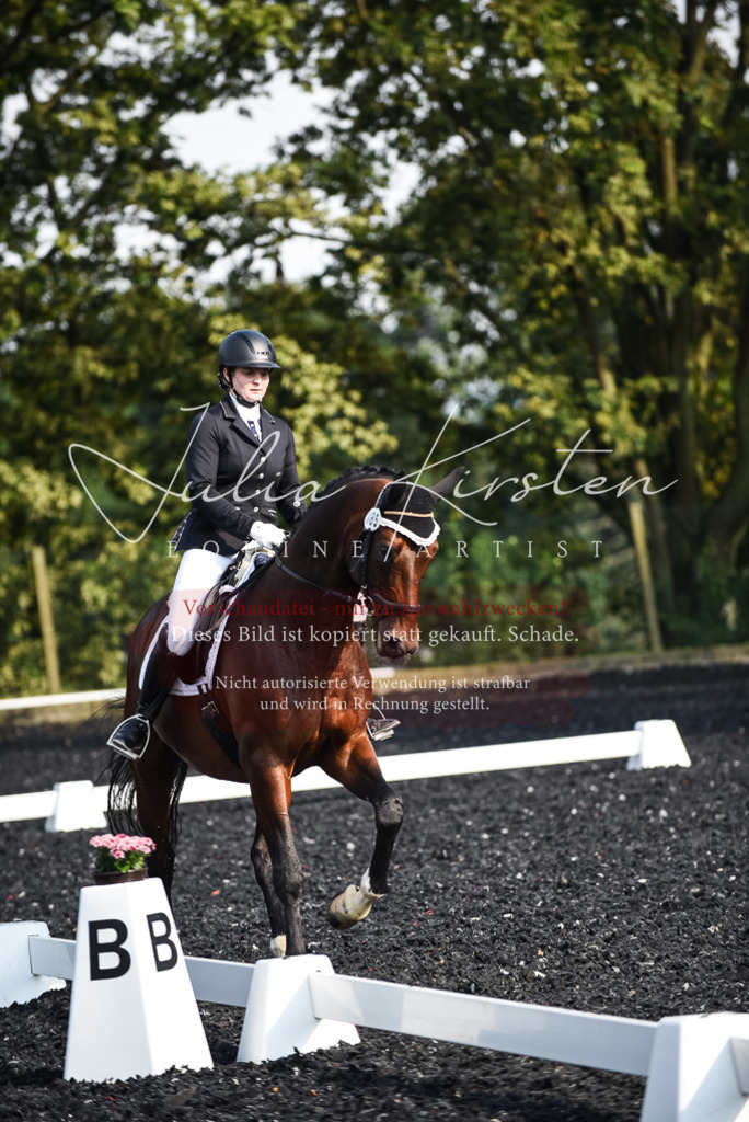 DSC_3217 | Pferde- und Turnierfotografie in Westsachsen. Pferdeportraits, Auftragszeichnungen und intuitive Kunst.