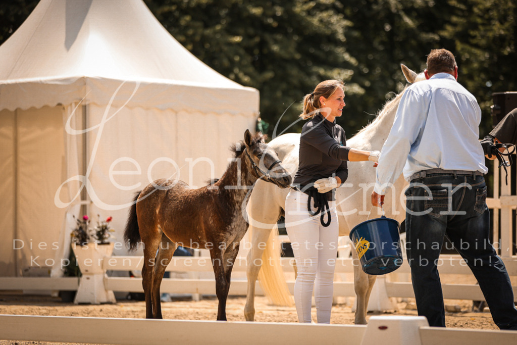 02.DoSR00206 | Leoni Ertmer Photography - Realisiert mit Pictrs.com