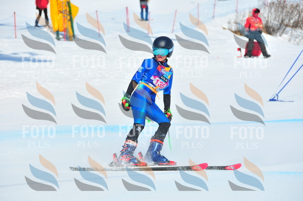 DSC_4908 | holidayphoto