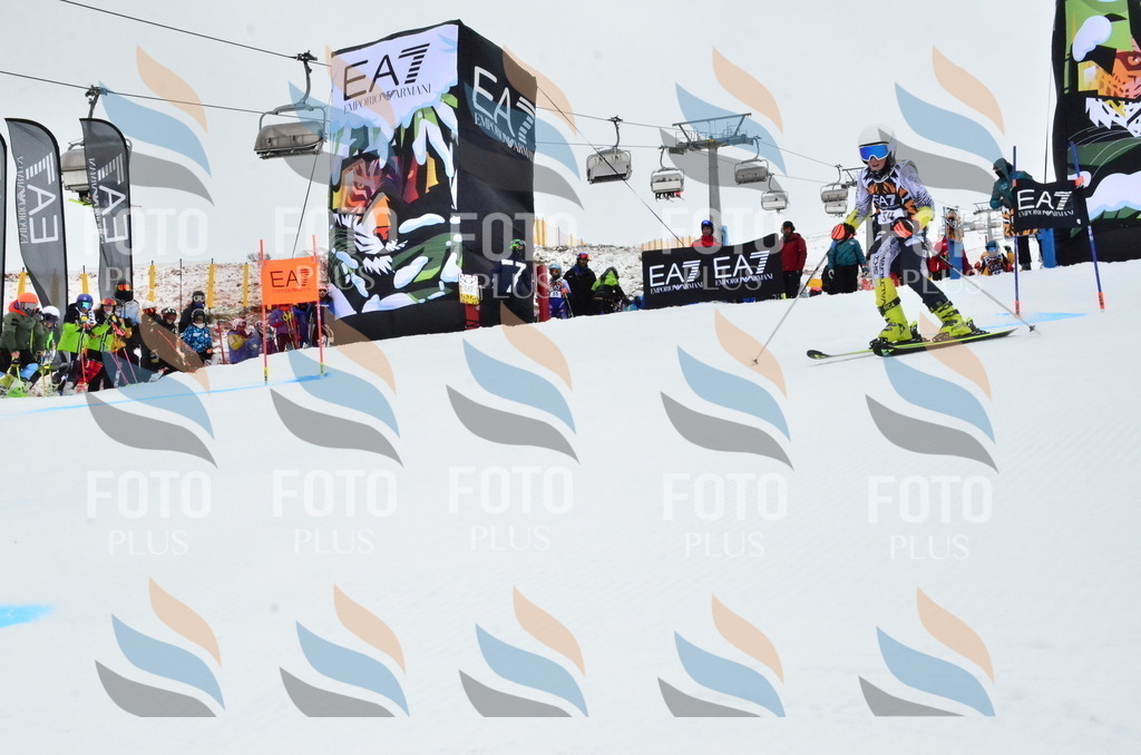 _ELE3405 | holidayphoto