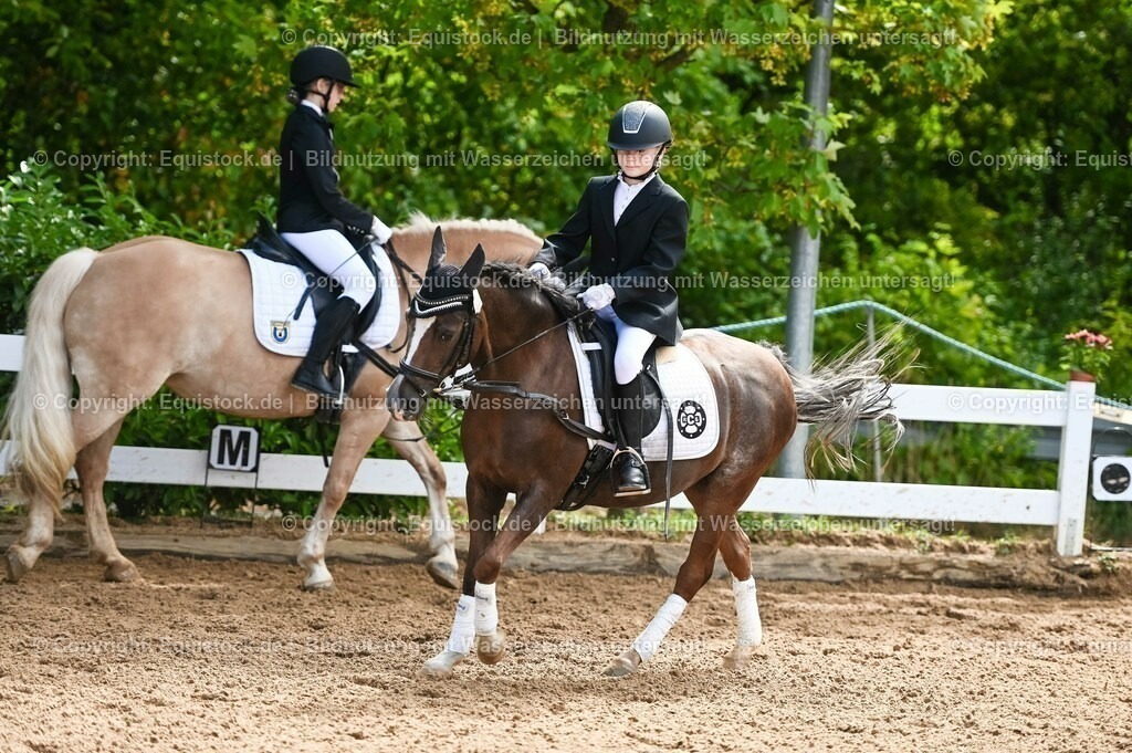 20230716_10-3_Reiter-WB Schritt - Trab - Galopp_0067 | equistock
