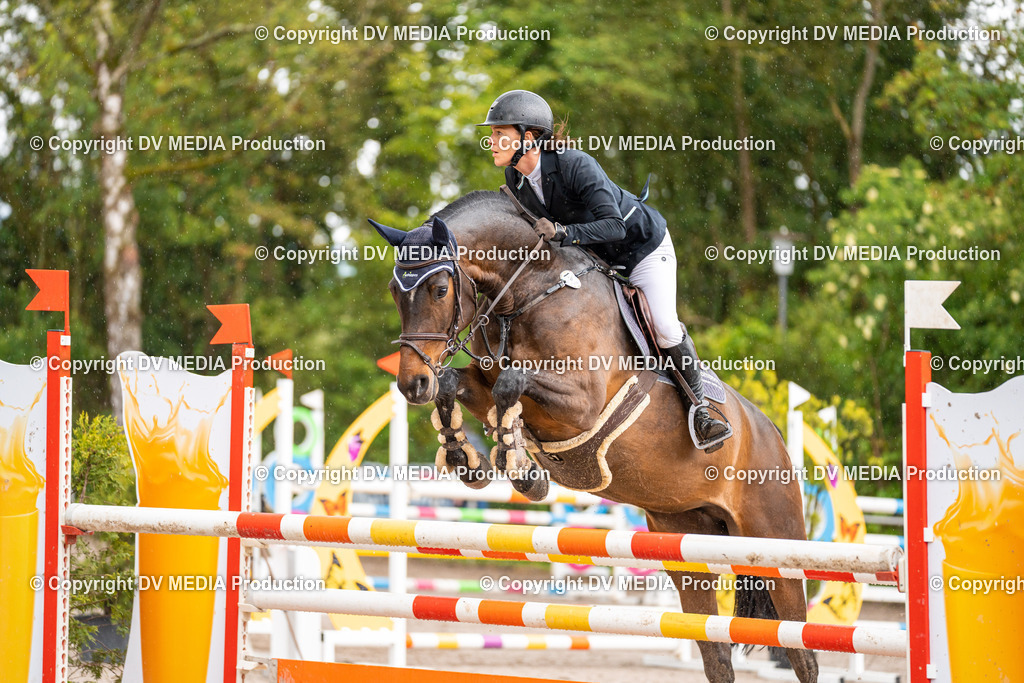 Eppelheim Tag 3-52 | dv-media-shop - Realisiert mit Pictrs.com