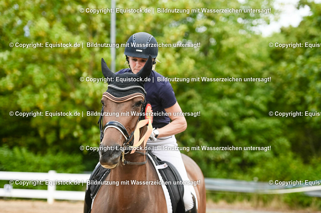 20230716_01_Dressurprüfung Kl.M_0640 | equistock