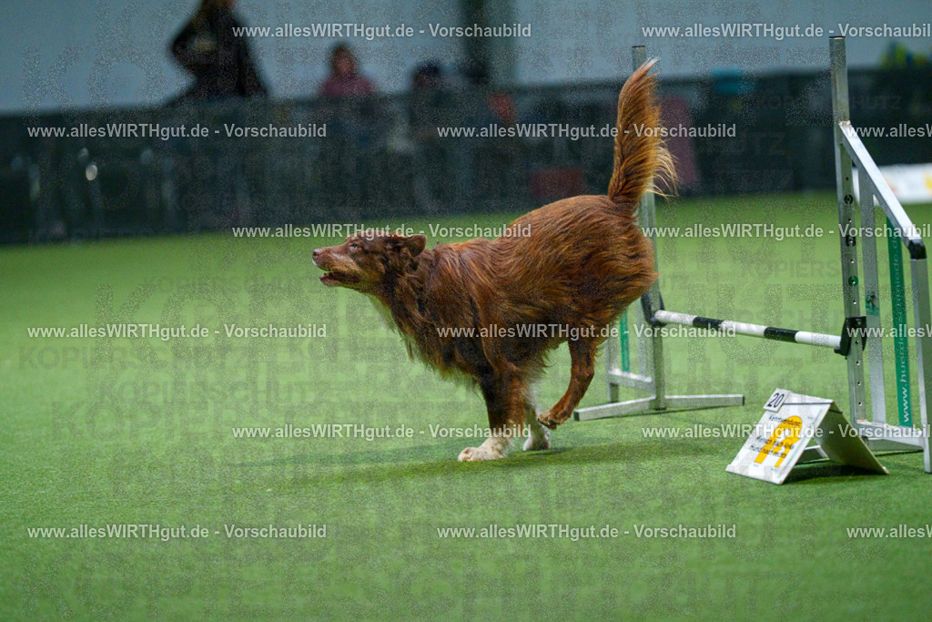 7R500880 | Professionelle Tierfotografie in Mönchengladbach von Daniel Wirth (allesWIRTHgut). Liebevolle & natürliche Bilder von Hunden & Katzen für unvergessliche Erinnerungen.