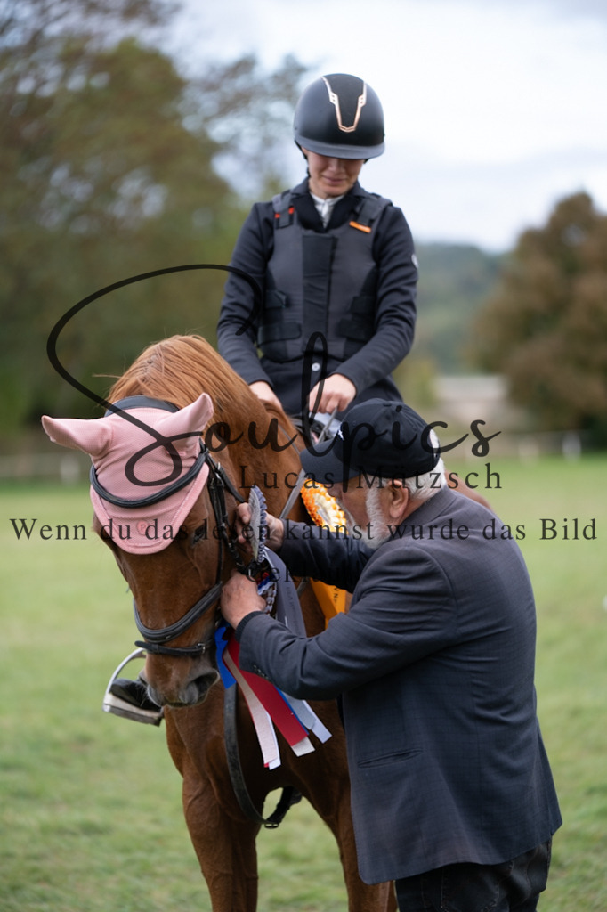 A7V06402 | Pferdefotograf