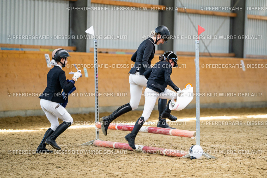 DSC02424 | Pferdegrafie