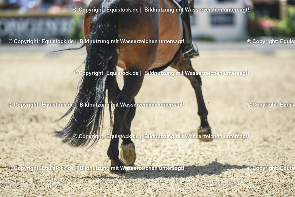 TP5_1356 | equistock