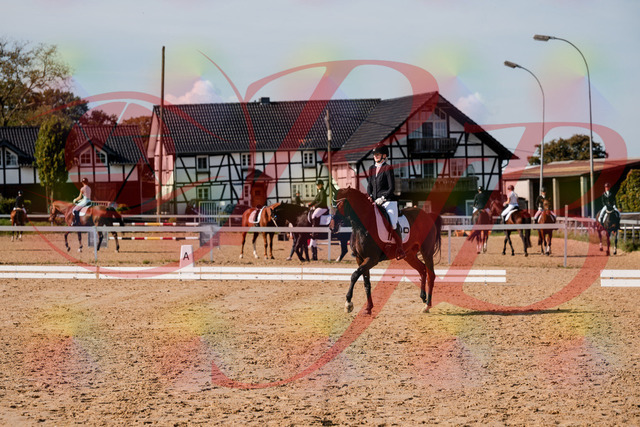 2026_10_03_Siefer-Hof_125540_Z63_62588458 | Professionelle Reitsport-, Turnier- und Eventfotografie von Robert Broda. Galerien mit ausgewählten und bearbeiteten Bildern direkt online ansehen und bestellen.