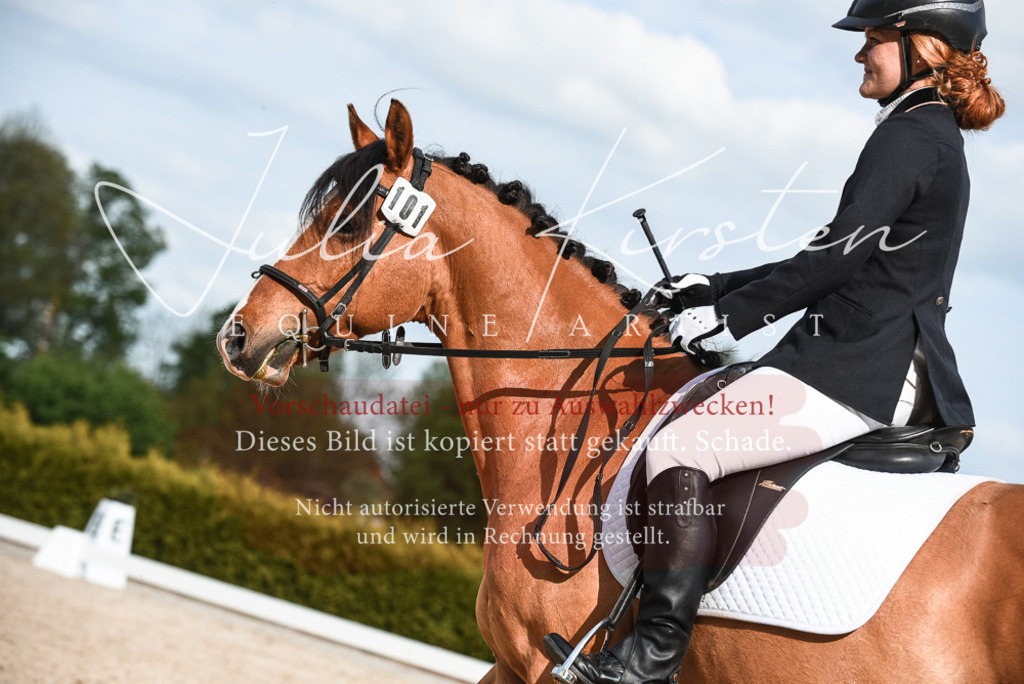 20230518_JK-Röhrsdorf-12-0621 | Pferde- und Turnierfotografie in Westsachsen. Pferdeportraits, Auftragszeichnungen und intuitive Kunst.