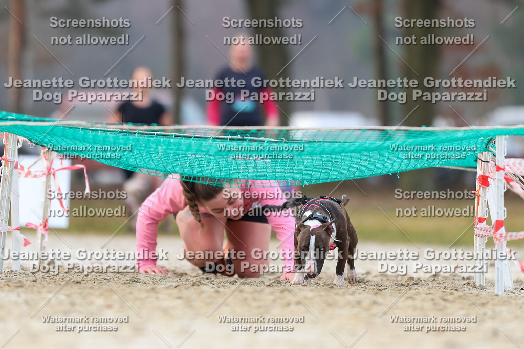Dog Paparazzi - Strongdog North Mrz26-3920 | Dog Paparazzi Jeanette Grottendiek Fotografie & Videografie - Realisiert mit Pictrs.com