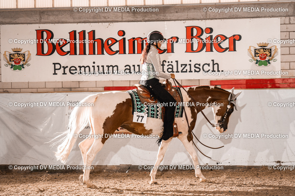 ZH200542 | dv-media-shop - Realisiert mit Pictrs.com