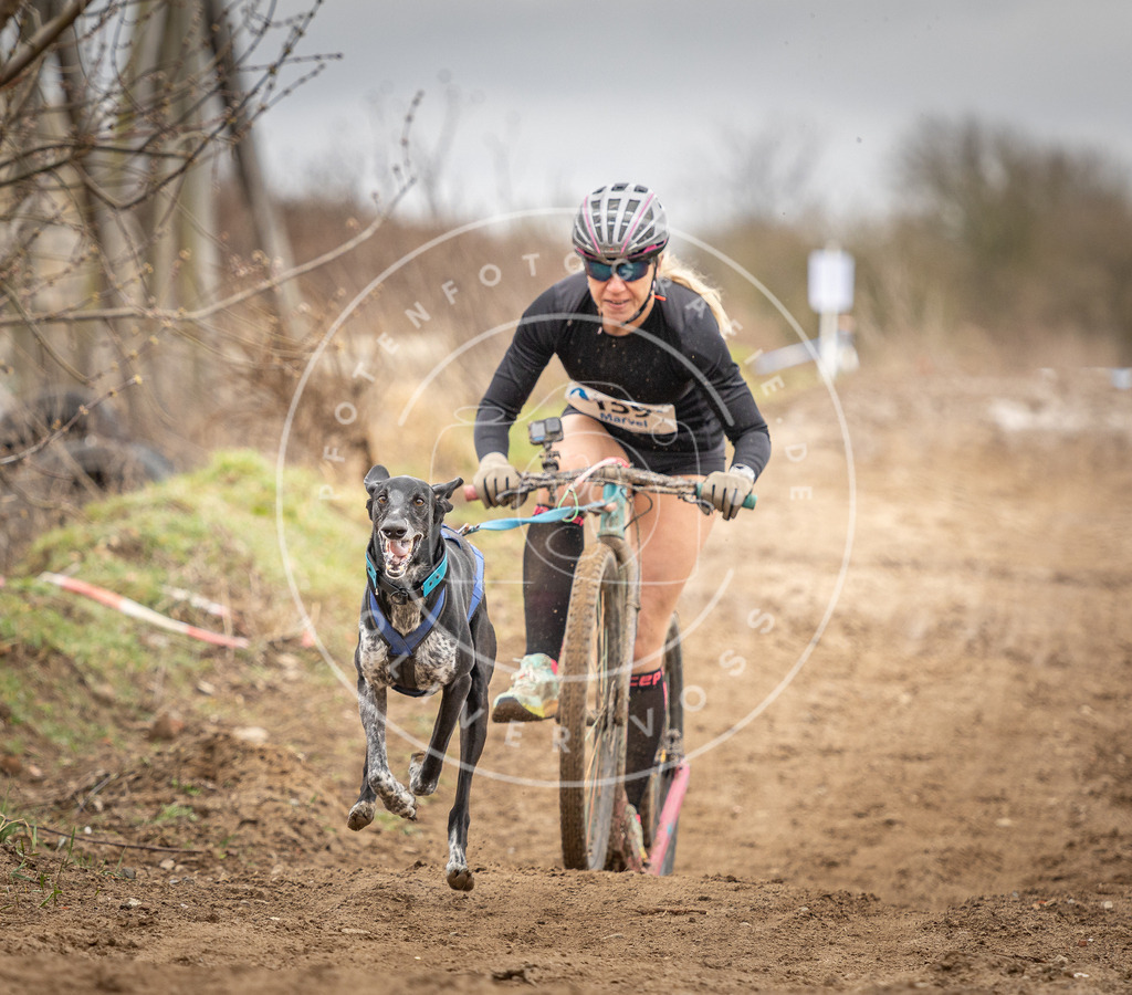 DV3A1715 | Hundefotografie, Tierfotograf, Pfotenfotografie, Fotoshooting Hund, Hunde Portrait, Hundesport, Hundeportraits, Heideshooting, Hunde, Sportfotograf, Hundefotograf, Turnierhundsport, THS,  - Realisiert mit Pictrs.com