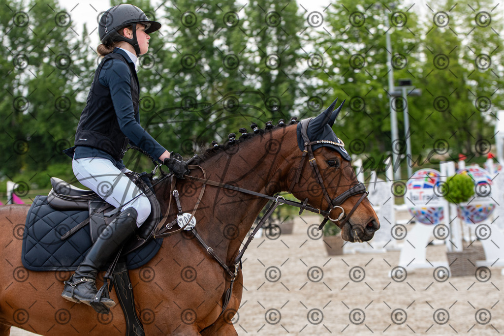 KPT_7682 | andre_photographic