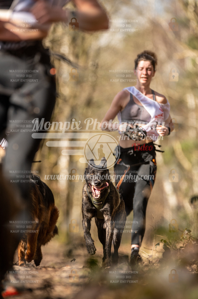SPA_2023_SAM_CCK-155 | PayLife